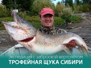 Тур: 7 Дней рыбалки на трофейную щуку. Вертолётная заброска. Север Ханты-Мансийского автономного округа.